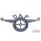 DAF embleem 165x85mm